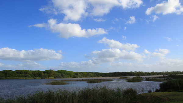 UITZICHT OVER DE WETLANDS IN ST LUCIA (3)