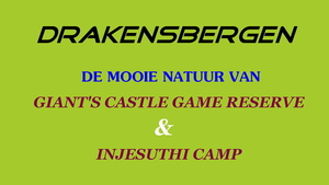 AANGEKOMEN IN DE DRAKENSBERGEN