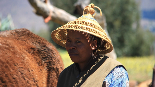 VROUW MET TYPISCH HOOFDDEKSEL VAN LESOTHO (1)