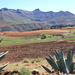 NOG HET LANDSCHAP IN LESOTHO (6)