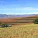 NOG HET LANDSCHAP IN LESOTHO (7)