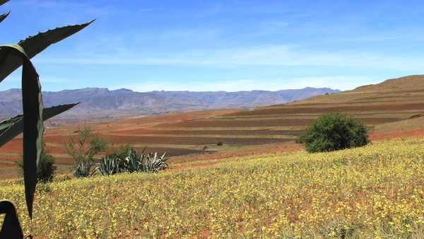 NOG HET LANDSCHAP IN LESOTHO (7)