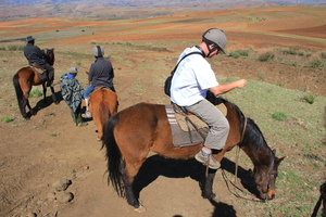 VERKENNING TE PAARD