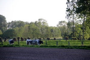 IMG_3786