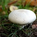 DSC09430