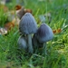 DSC09439