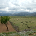 78 schapen in lassithi vlakte