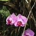 P5260075
