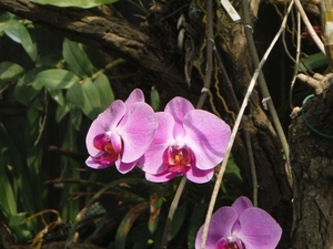 P5260075