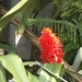 P5260076