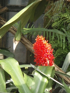 P5260076