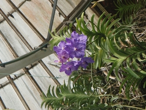 P5260078