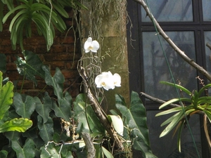 P5260079
