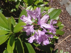 P5260084