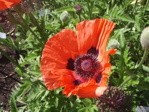P5260091