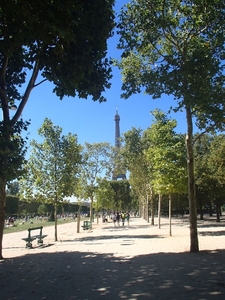 P8110099
