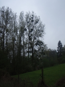 P5050022