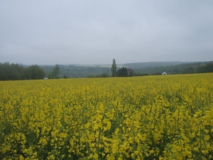 P5050038