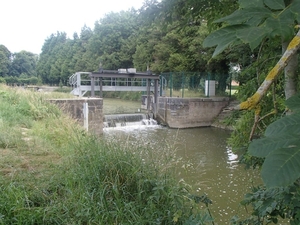P7170008