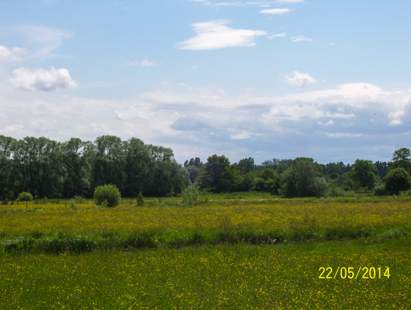 Naar Bonheiden - 22 mei 2014