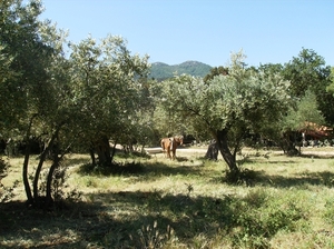 Villelongue Mei 2014 031