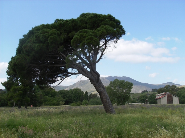 Villelongue Mei 2014 057