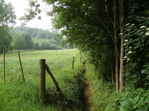 Kluisbergen Juni 2014 011