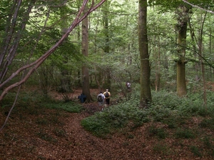 Kluisbergen Juni 2014 015