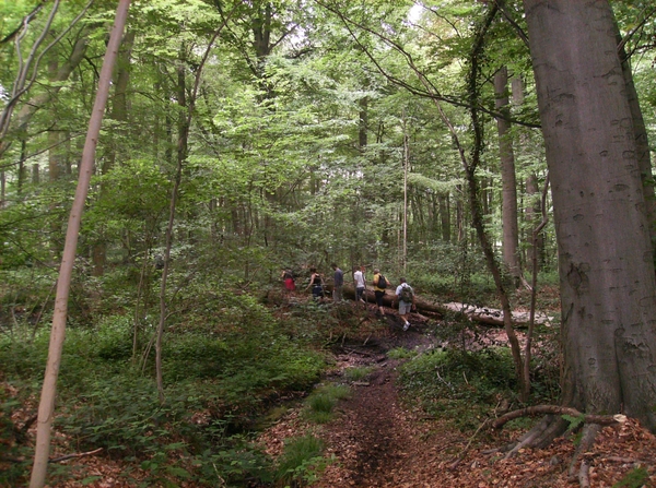 Kluisbergen Juni 2014 016