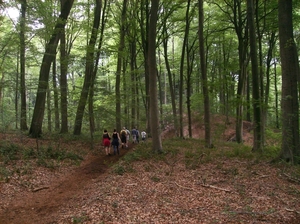 Kluisbergen Juni 2014 017