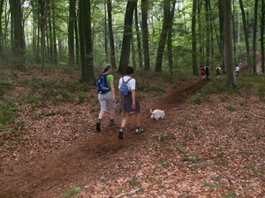 Kluisbergen Juni 2014 018