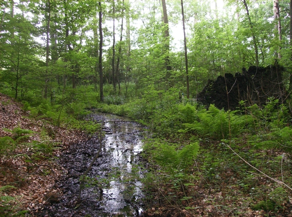 Kluisbergen Juni 2014 020