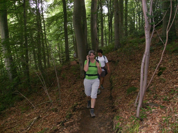 Kluisbergen Juni 2014 022