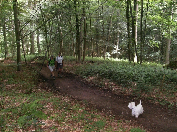 Kluisbergen Juni 2014 024