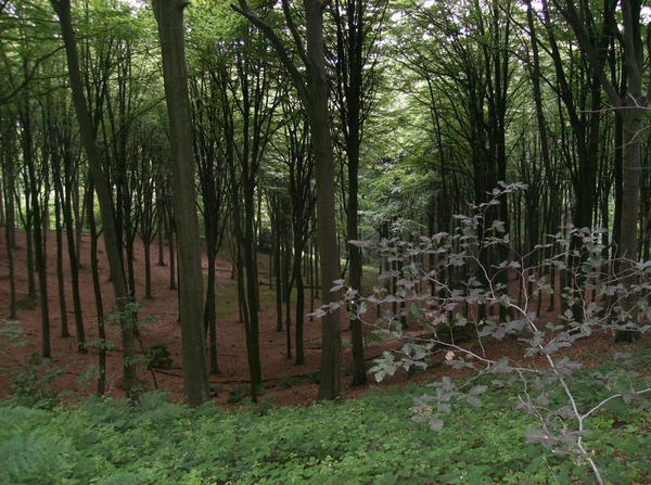 Kluisbergen Juni 2014 025