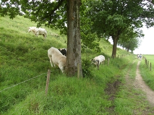 Kluisbergen Juni 2014 027