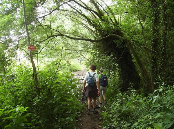 Kluisbergen Juni 2014 029