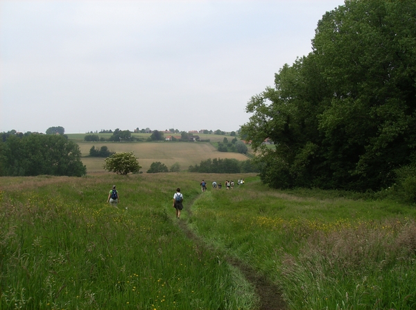 Kluisbergen Juni 2014 032