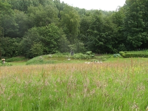 Kluisbergen Juni 2014 036
