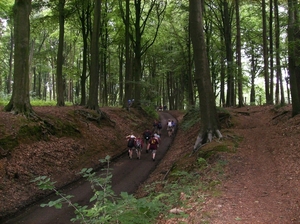 Kluisbergen Juni 2014 049