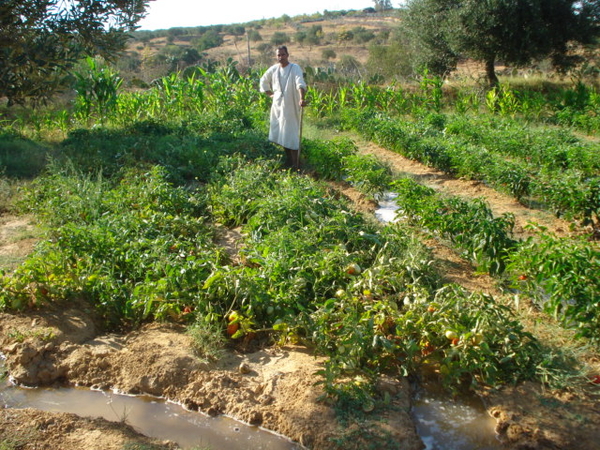 water loopt langs de gleuven voor de groenten