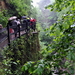 Shanklin Chine