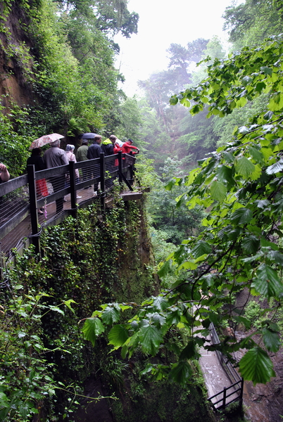 Shanklin Chine