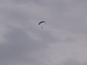 Paraglider