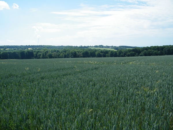 marche adeps Hastire