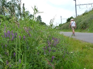 56-Terug naar Petegem-aan-de-Leie na 20 km...