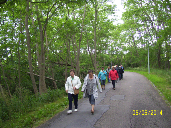 Wandeling naar Midzeelhoeve - 5 juni 2014