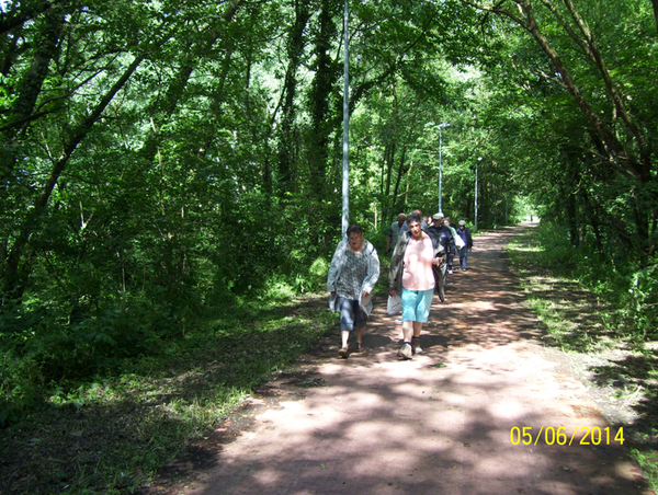 Wandeling naar Midzeelhoeve - 5 juni 2014