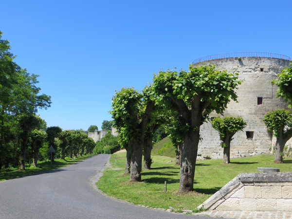 coucy-le-chateau auffrique