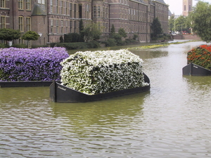 Bloemenboot in de Hofvijver